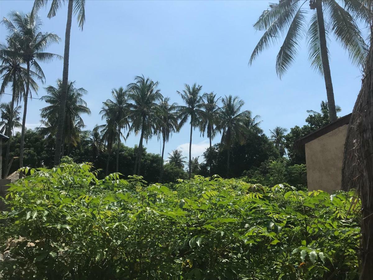 Meno Madia Bungalows Gili Meno Eksteriør billede