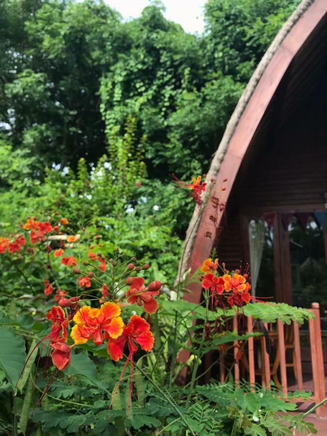 Meno Madia Bungalows Gili Meno Eksteriør billede