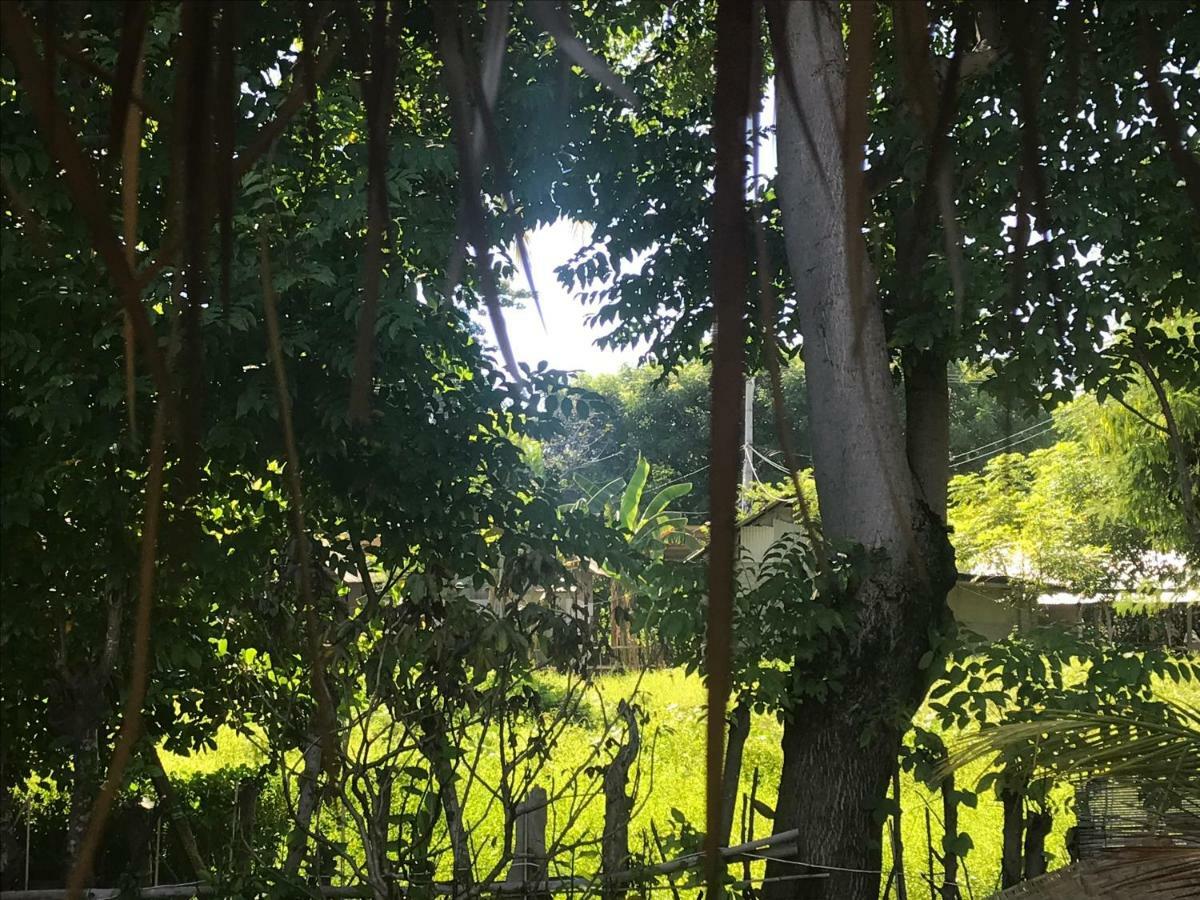 Meno Madia Bungalows Gili Meno Eksteriør billede
